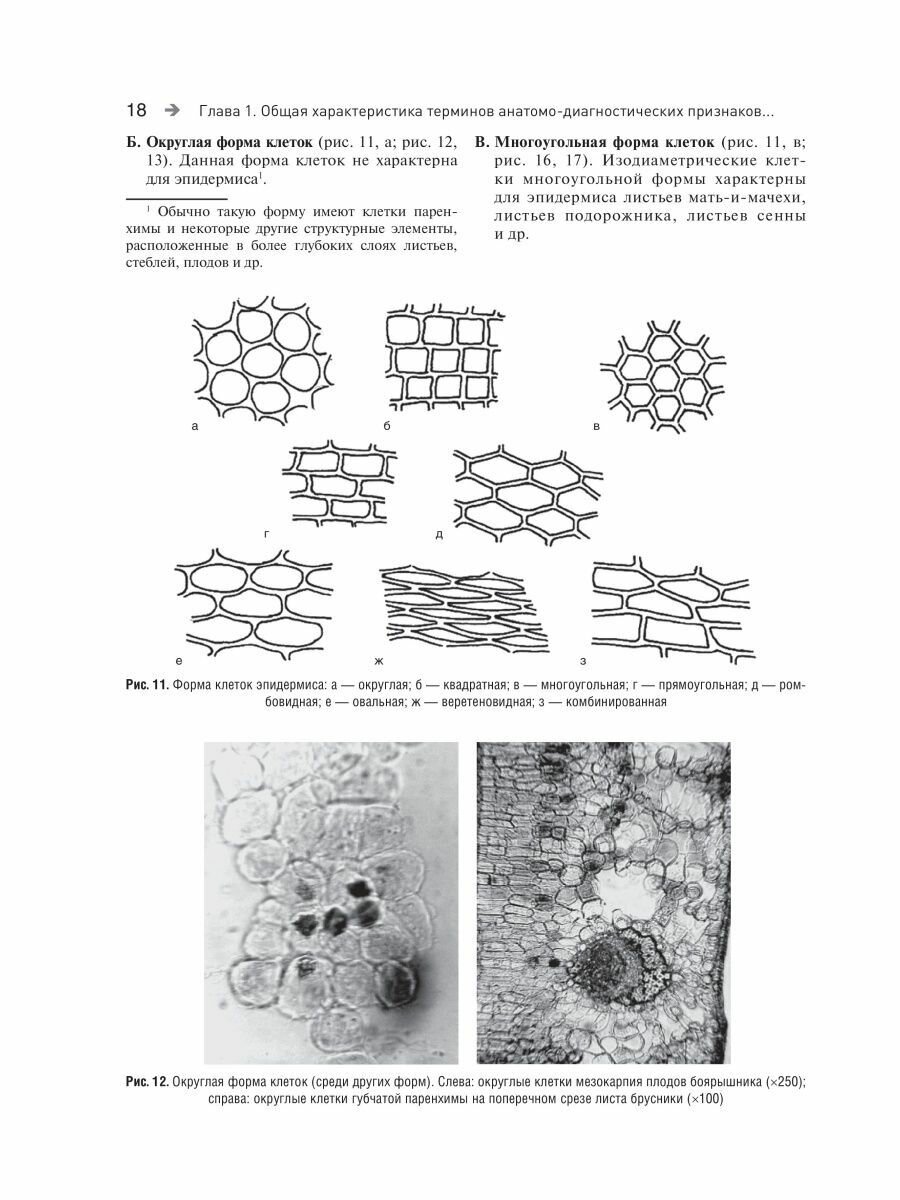 Фармакогнозия Атлас Том 1 Общая часть Термины и техника микроскопического анализа в фармакогнозии Учебное пособие - фото №11