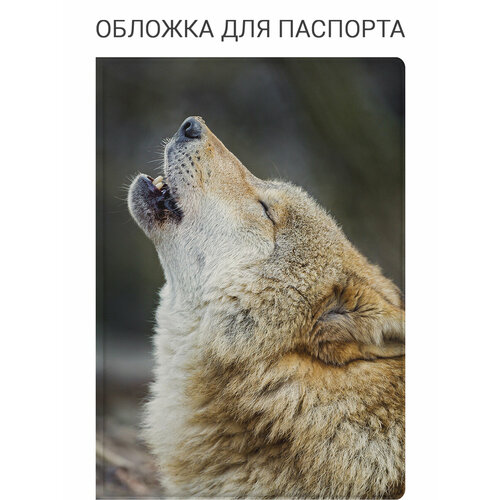 фото Обложка для паспорта elole design, белый, бежевый