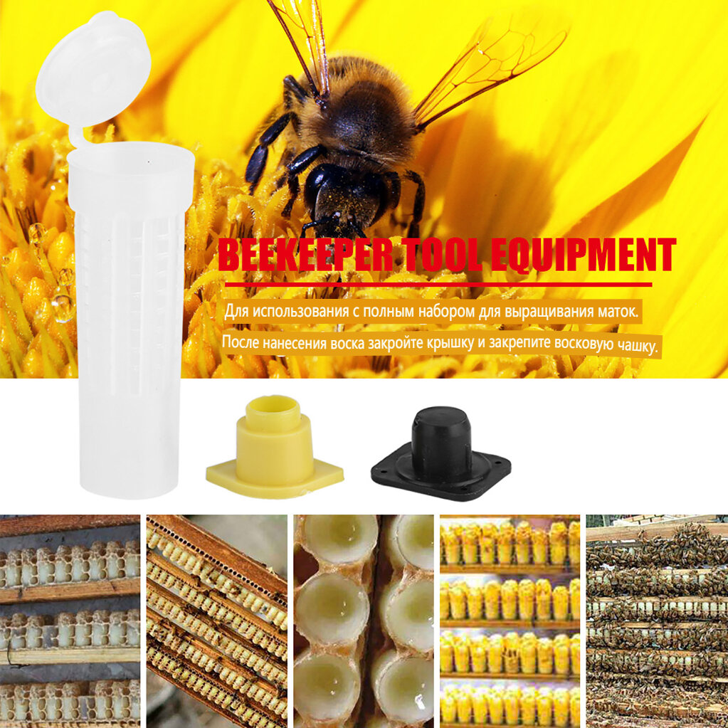 100ШТ Набор чашек для выращивания пчеловодческих маток, Клетки для пчелиных маток, Роликовый инструмент для пчеловода, Оборудование
