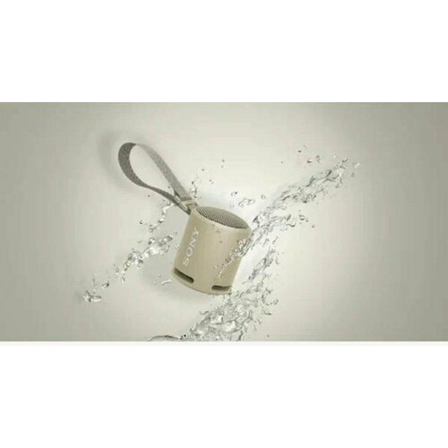 Портативная акустика Sony SRS-XB13 RU бежвый 295000₽