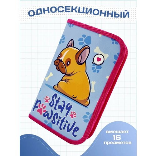 Пенал школьный для девочек AXLER большой вместительный органайзер книжка для канцелярии карандашей ручек детский для школы и подростков бульдог 207₽