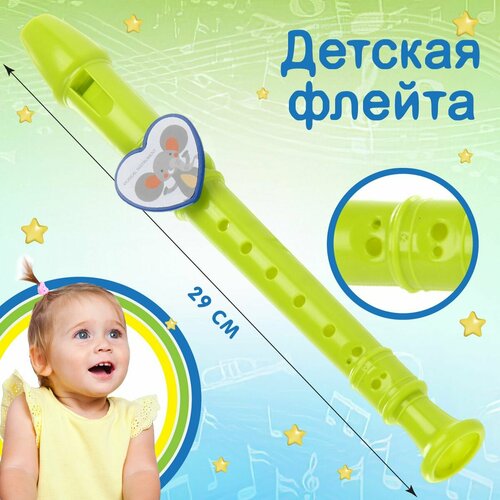 Флейта Veld Co 316₽