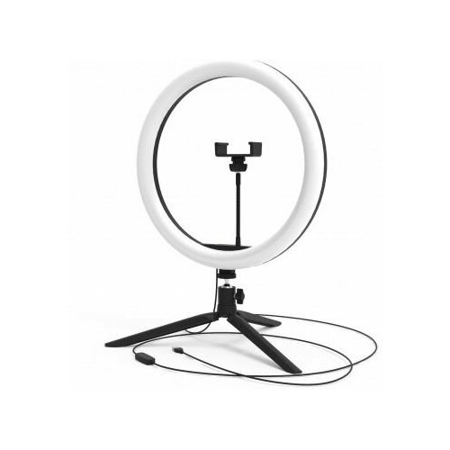 Осветитель GAUSS Ring Light 15W 800lm 282800₽