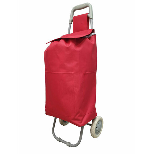 Сумка дорожная HomieLand, 10 шт., 30 л96х32 см, ручная кладь, красный