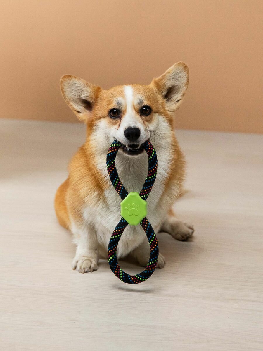 Игрушка для собак канат VETTA длина 30 см ПЭ хлопок ТПР разноцветный