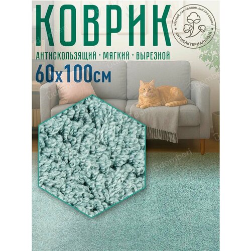 фото Ковер комнатный напольный с ворсом для зала 100х60 vdomberi