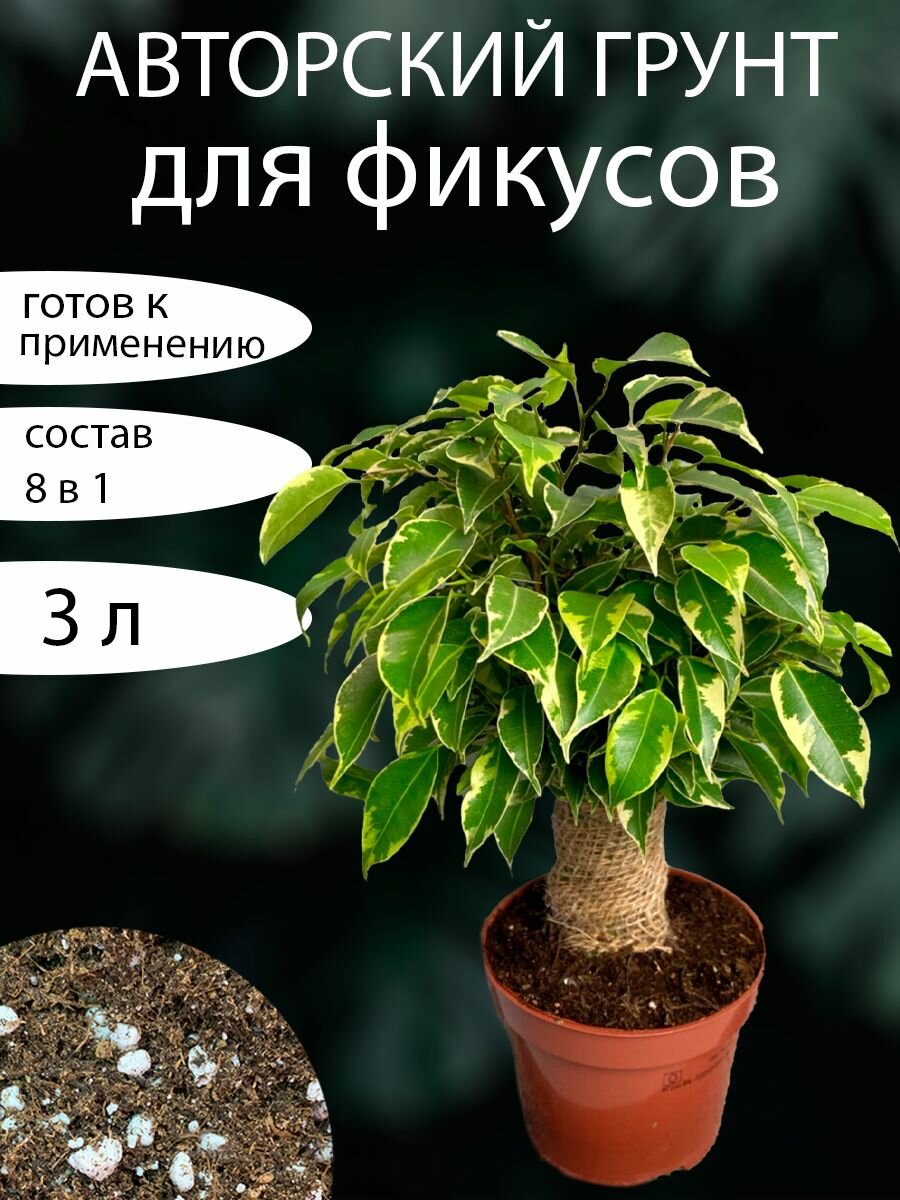 Грунт для Фикуса 3л