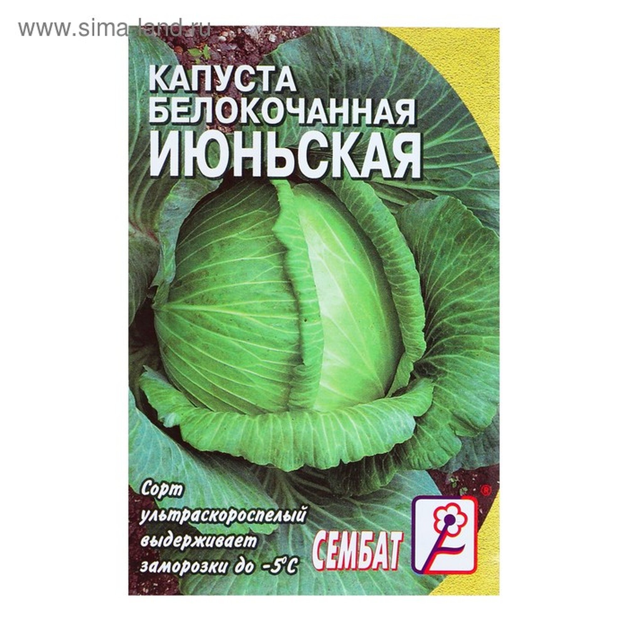 Семена Капуста белокачанная 