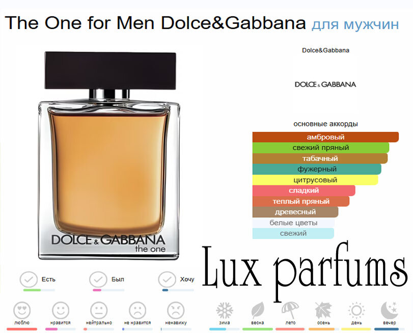 Туалетная вода для мужчин The One for Men Dolce&Gabbana 100 мл — фото 1