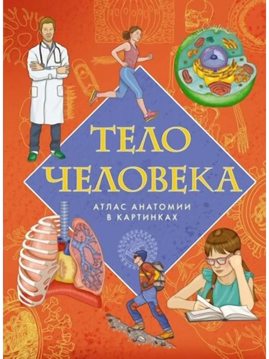 Тело человека. Атлас анатомии в картинках