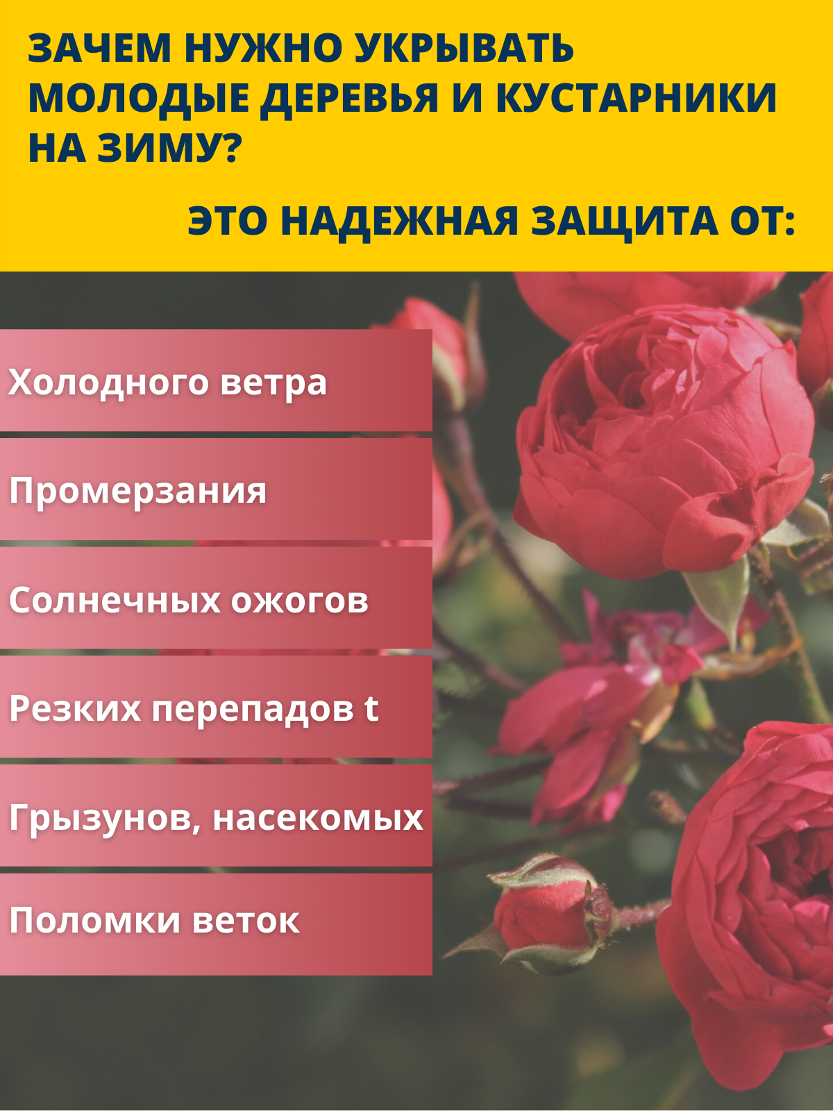 Укрытие для молодых деревьев на зиму Чеховский завод материалов Прекрасный сад 1,2 х 2,0м — фото 5