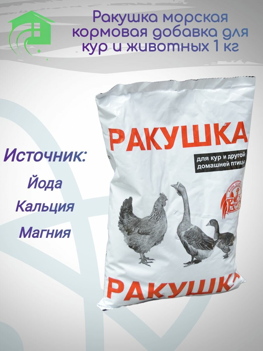 Ракушка  кормовая добавка для птиц 1 кг морская ракушка для кур и животных