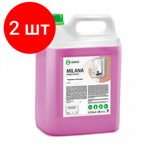 Комплект 2 штук, Крем-мыло жидкое ПРОФ ароматизированное Grass/MILANA Черника в йогурте,5л