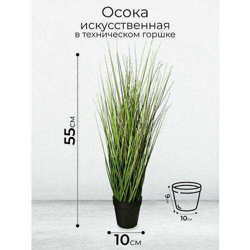 Осока искусственная в горшке
