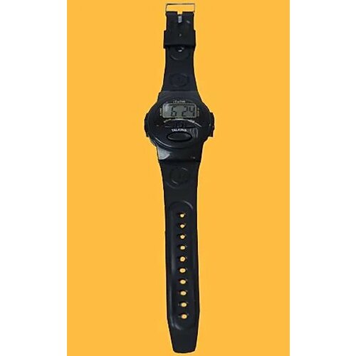 Часы наручные говорящие WB-665 72000₽