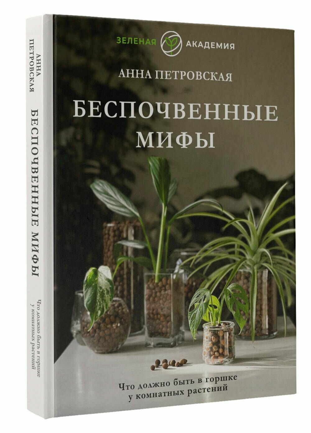 Что должно быть в горшке у комнатных растений. Беспочвенные мифы - фото №3