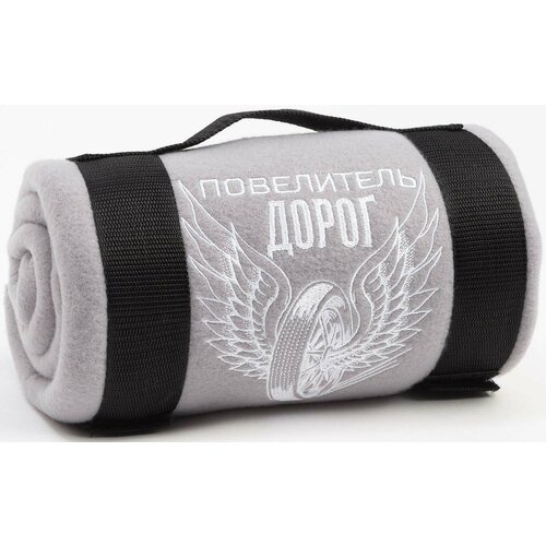 Плед Этель Повелитель дорог 130х150 см 100 пэ флис 160 грм2 1050₽