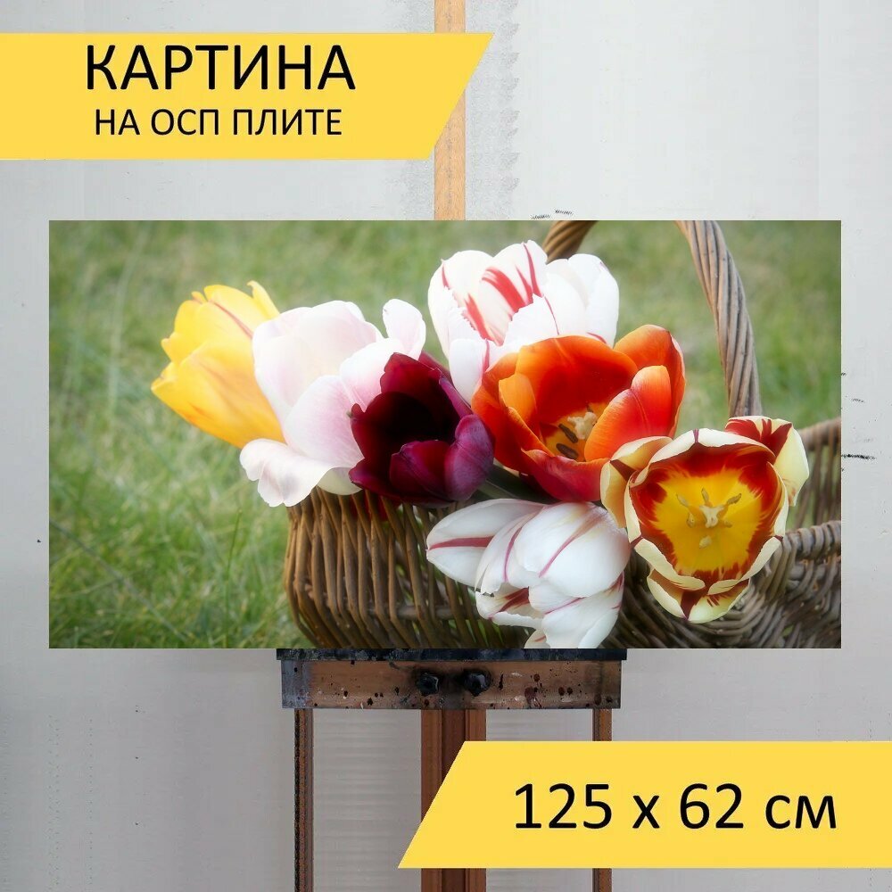 Картина на ОСП 125х62 см. "Тюльпаны корзина цветок" горизонтальная для интерьера с креплениями