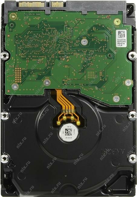 Жесткий диск WD Gold , 4Тб, HDD, SATA III, 3.5" - фото №19