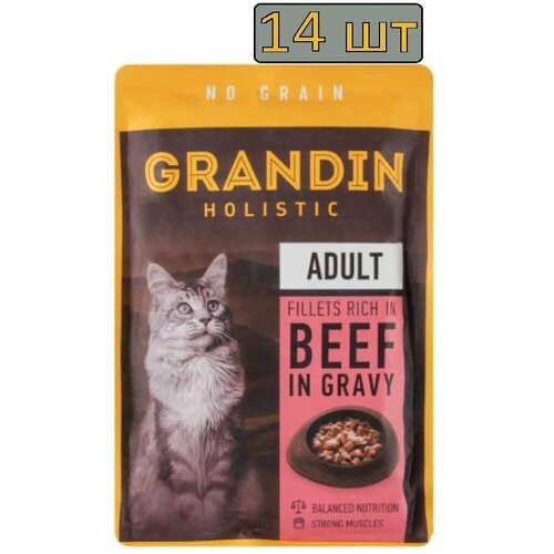 14 штук Grandin Влажный корм (пауч) для кошек, кусочки с говядиной в соусе, 85 гр.