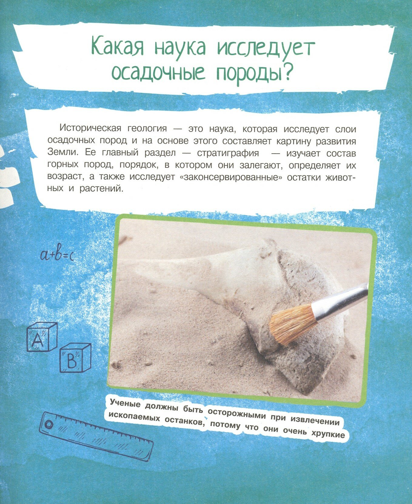 1000 вопросов обо всем на свете - фото №7