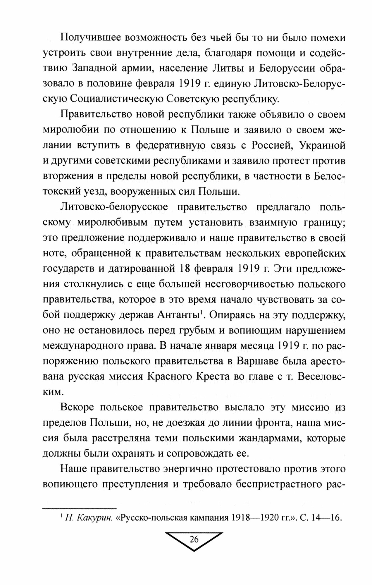 1920. Война с белополяками. Поход Пилсудского на Украину - фото №4