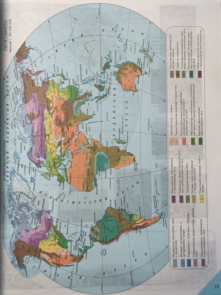 Атлас с комплектом контурных карт. 7 класс. География материков и океанов. Природа, население. - фото №13