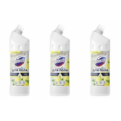 Domestos -     , 1000  - 3 /