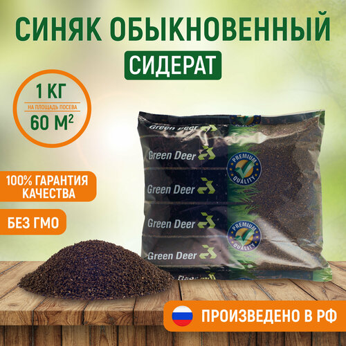 люцерна изменчивая семена 1 кг сидерат медонос Синяк обыкновенный семена (1 кг). Медонос, сидерат