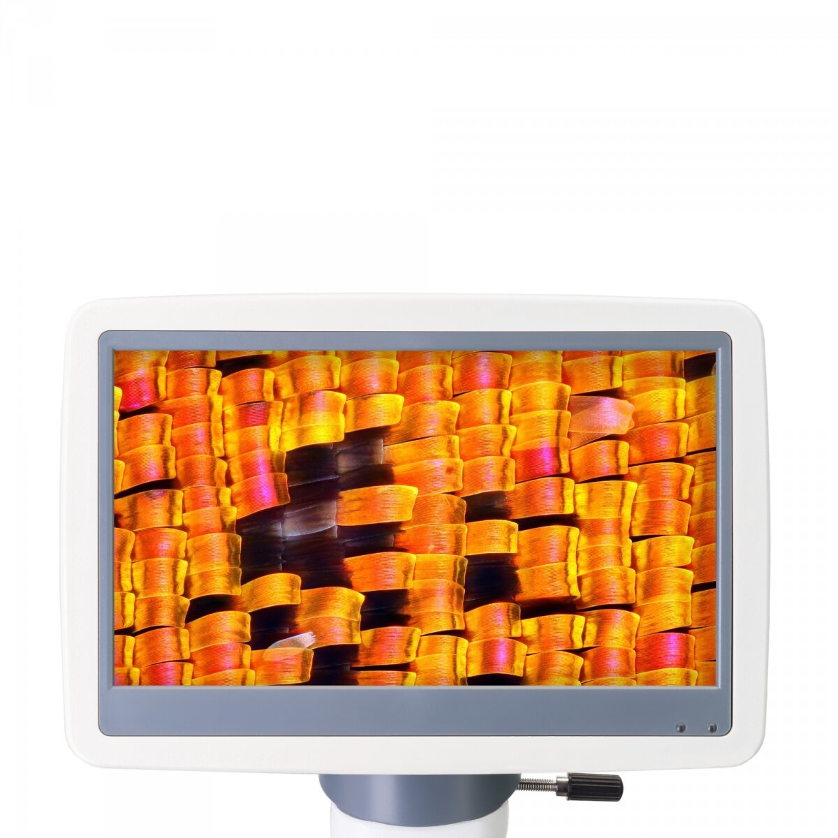 Микроскоп цифровой Levenhuk D95L LCD, монокулярный - фото №16