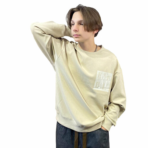 Свитшот SEMIR, размер L, коричневый, бежевый