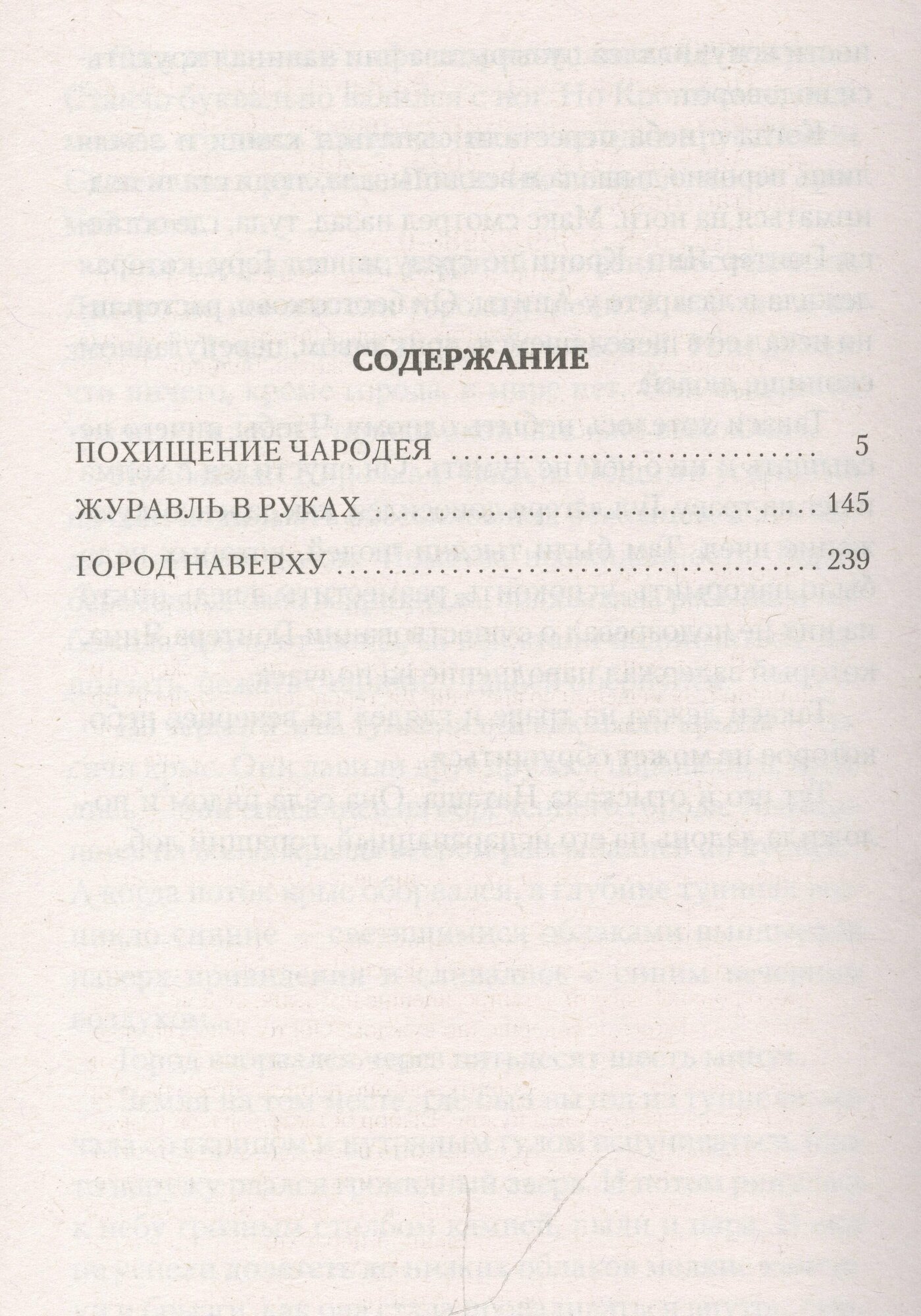 Похищение чародея. Журавль в руках. Город Наверху - фото №5