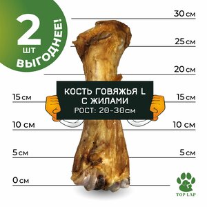 Кость говяжья большая с жилами 2 штуки