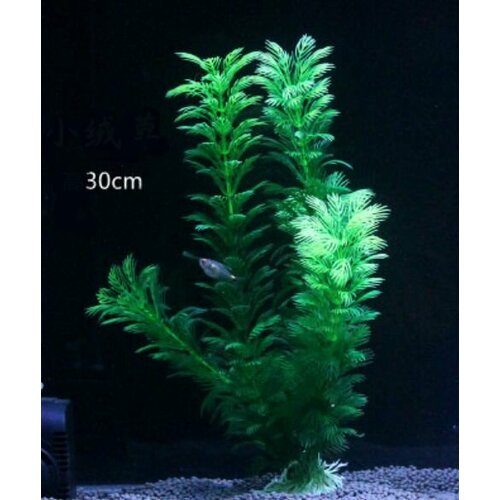 Искусственное растение Роголистник для аквариума - 30см растение искусственное пуансетия кремовая в пластиковом кашпо 30см