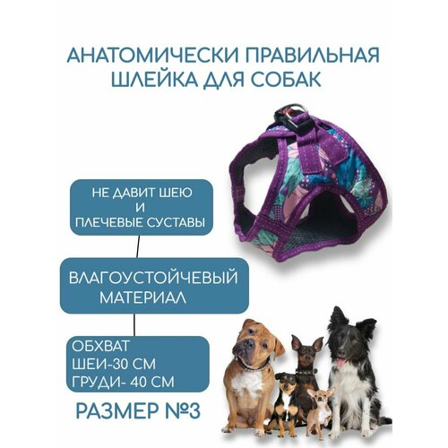 Шлейка для собак мелких и средних пород анатомическая №3 обхват груди 40 см/обхват шеи 30 см, цветы