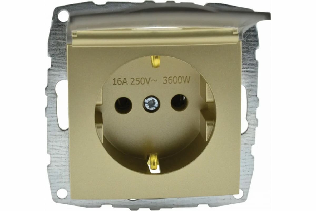 Розетка 2К+З Mono Electric Despina/ Larissa 16A 250V с крышкой винтовое подключение титан - фото №1