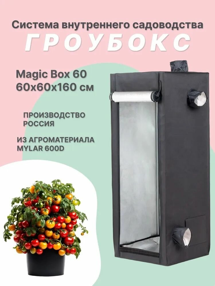 Гроубокс MagicBox 60 (60*60*160 см)