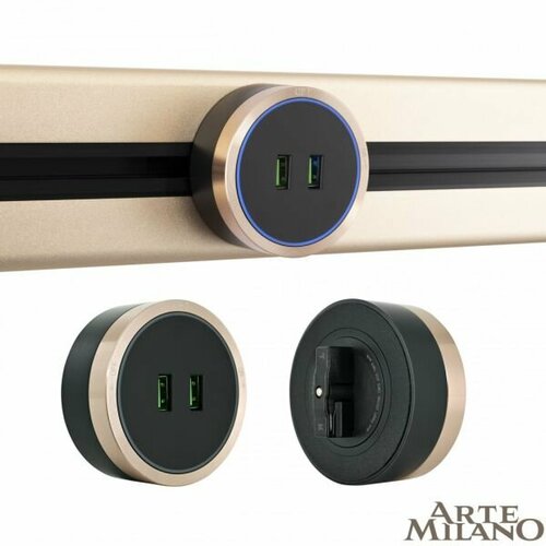 Трековая розетка Arte Milano Am-track-sockets 380066TS LEDUSBx2 Gold 2142₽