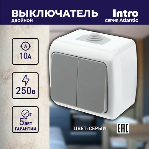 Выключатель Intro Atlantic 5-104-03 двойной, 10А-250В, IP54, открытой установки, серый