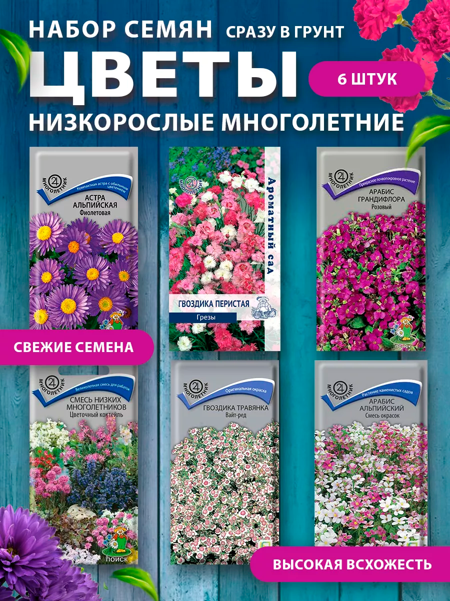 фото Семена цветов многолетников низкорослые