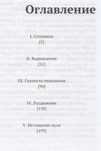 Спутники Рассыпающийся роман (Климов Василий Владимирович) - фото №3