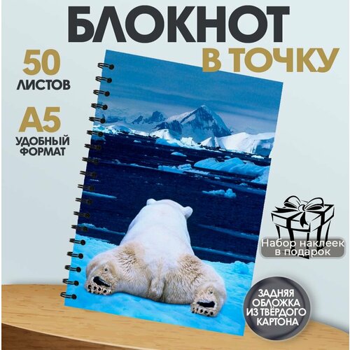 Блокнот в точку 50 листов Белый медведь 446₽