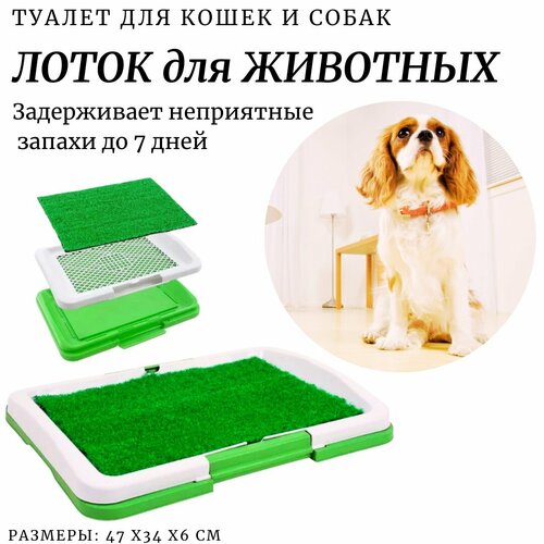 Лоток для животных / Туалет для кошек и собак мелких пород / Лоток с противомикробной травкой / 7 дней чистоты