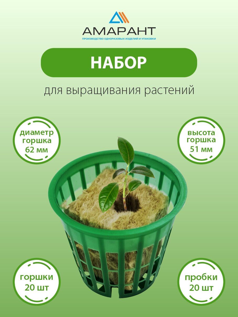Набор для выращивания Амарант растений 20 зеленых горшков+20пробок