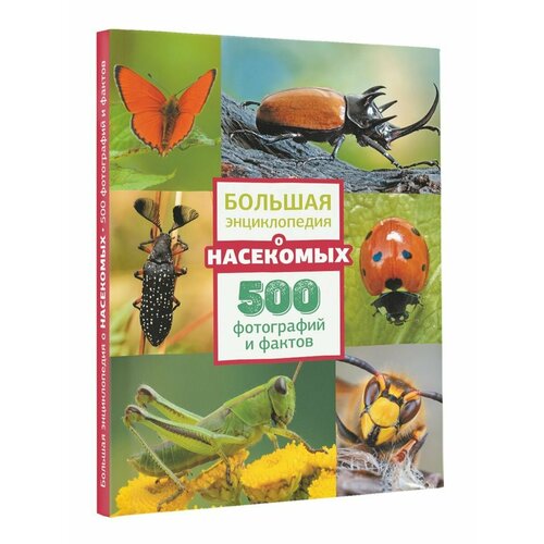 Большая энциклопедия о насекомых 500 фотографий и фактов 10688₽