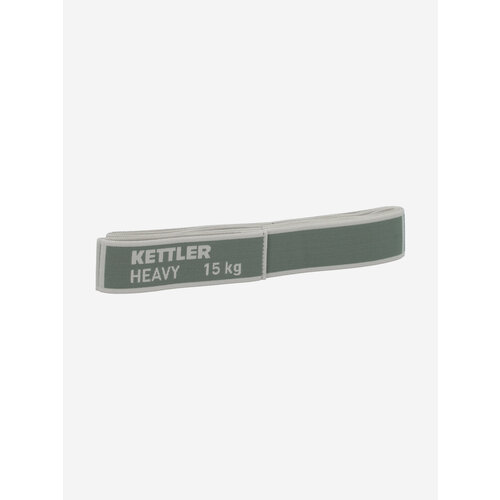 Лента текстильная с секциями KETTLER 15 кг Зеленый RUS Бр Ориг one size 999₽