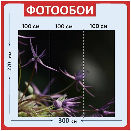 Фотообои Цветок фиолетовый сад 300x270 см флизелиновыена стену 3950₽