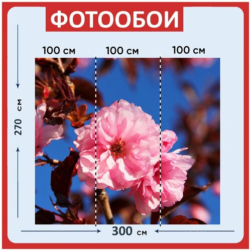 Фотообои Розовый цветы лепестки 300x270 см флизелиновыена стену 3950₽
