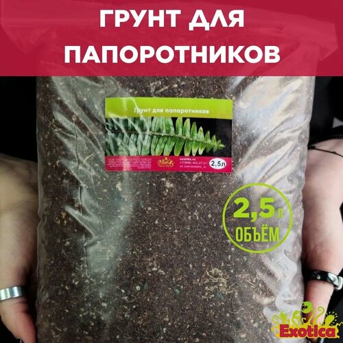 Грунт для папоротников 2,5л