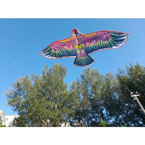 Воздушный змей в форме Орла 14 м 511₽